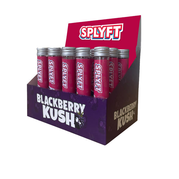 SPLYFT Cannabis Terpene Infused Rolling Cones – Blackberry Kush (BUY 1 GET 1 FREE)